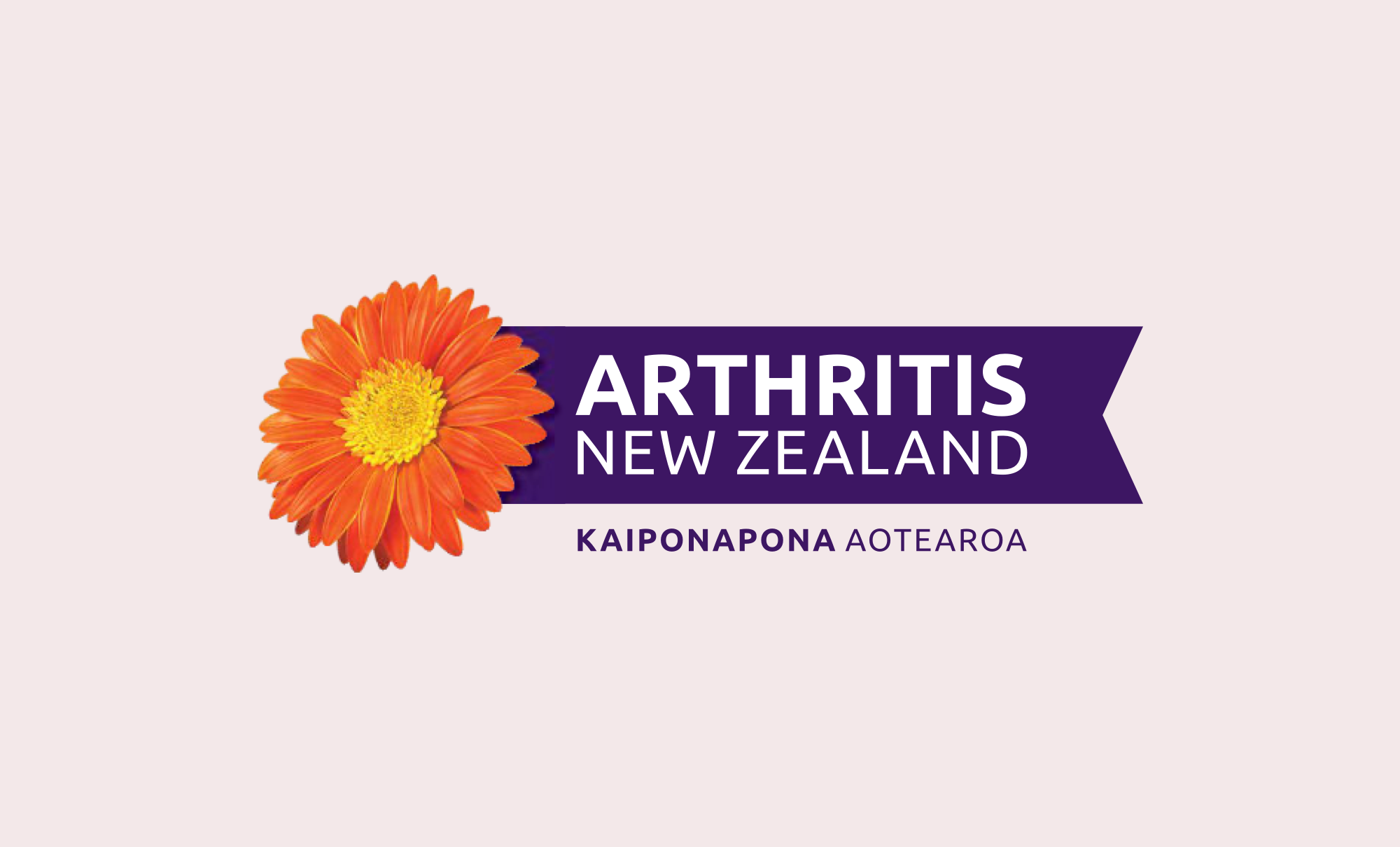 Arthritis New Zealand maximises access with online courses